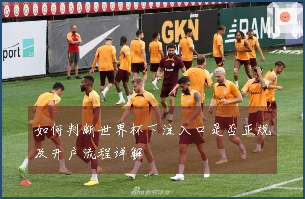 如何判断世界杯下注入口是否正规及开户流程详解