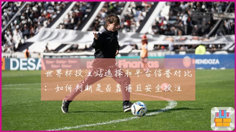 安博体育文章配图