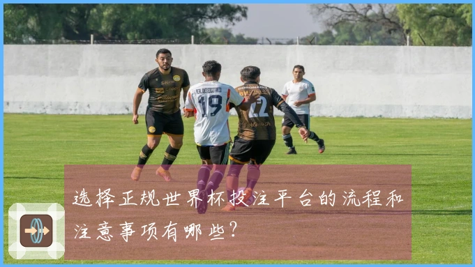 选择正规世界杯投注平台的流程和注意事项有哪些？