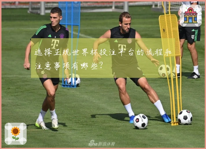 选择正规世界杯投注平台的流程和注意事项有哪些？